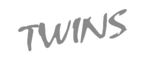 Twins logo